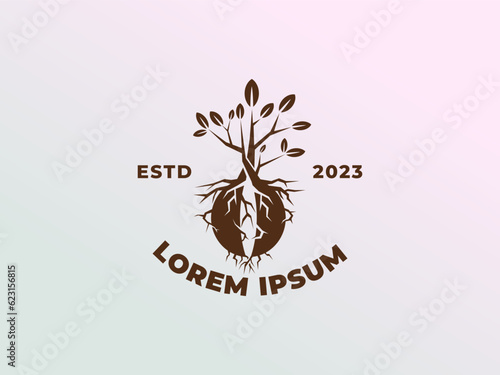 coffee beans and tree