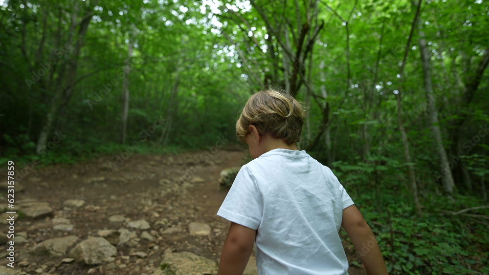Fototapeta premium Little boy hiking outside in nature path child in green outdoors