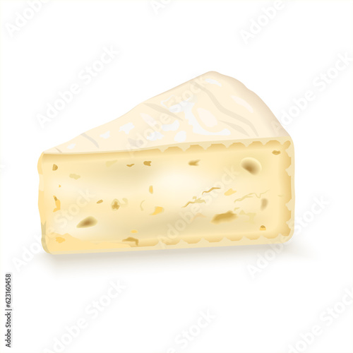 A slice of brie cheese, triangular piece soft cheese. Dairy and cheese products. Soft camembert cheese. Realistic vector illustration isolated on white background