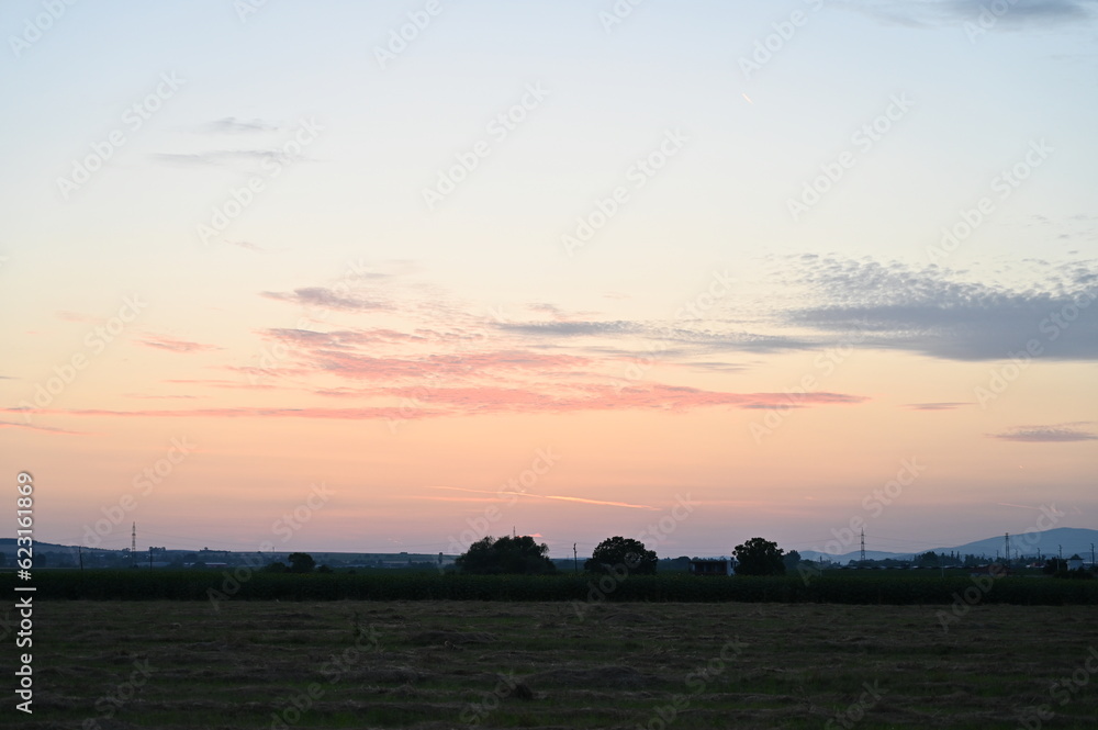Obraz premium sunset in the field