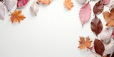 composition featuring a frame made of dried autumn leaves on a clean white background  Generative AI Digital Illustration