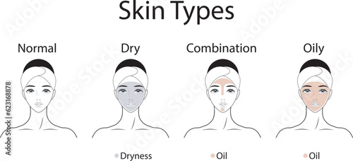 Skin types. Normal, Dry, Combination, Oily