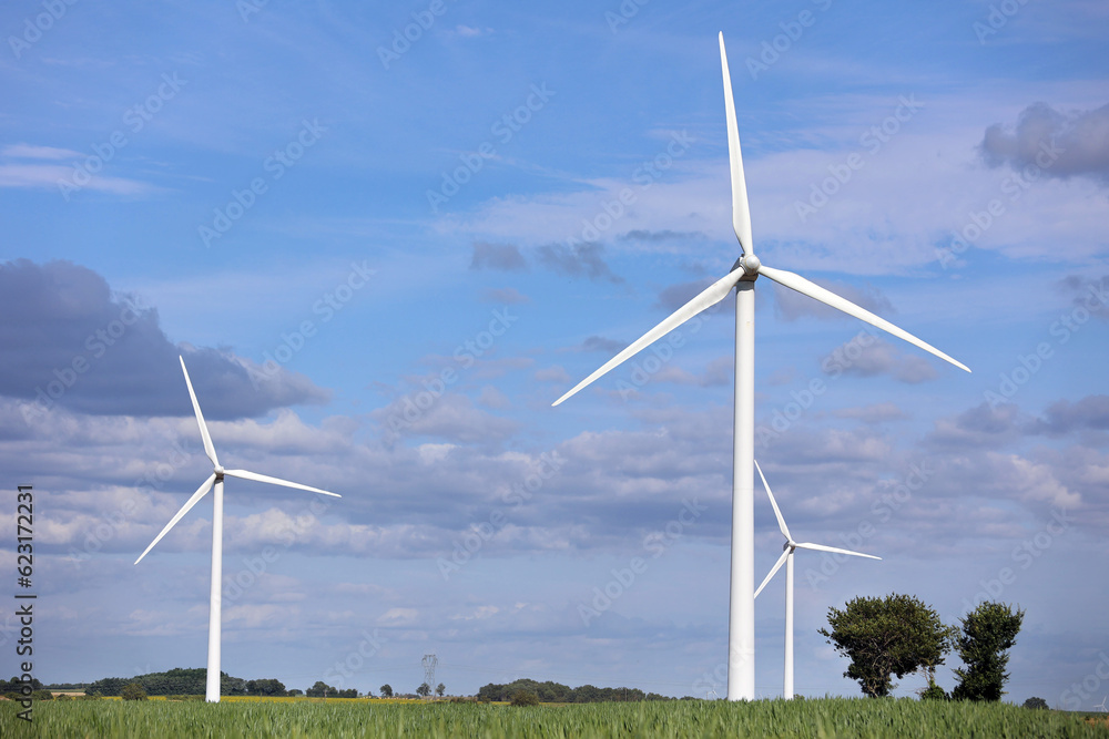 Fototapeta premium Groupe d'éoliennes sur un champ de tournesols