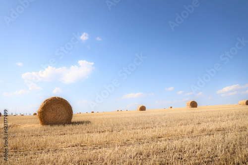 cereal bales on a dried agricultural field © Photowards