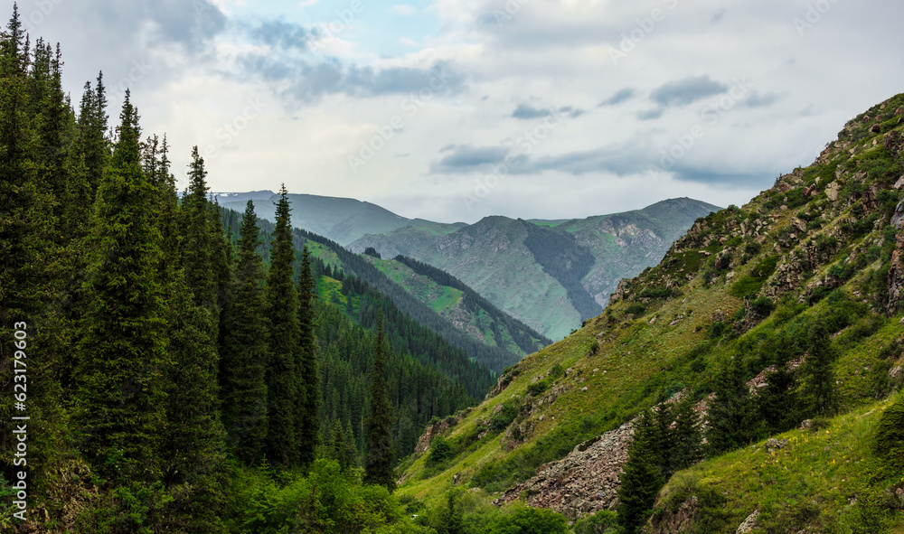 landscape in the mountains