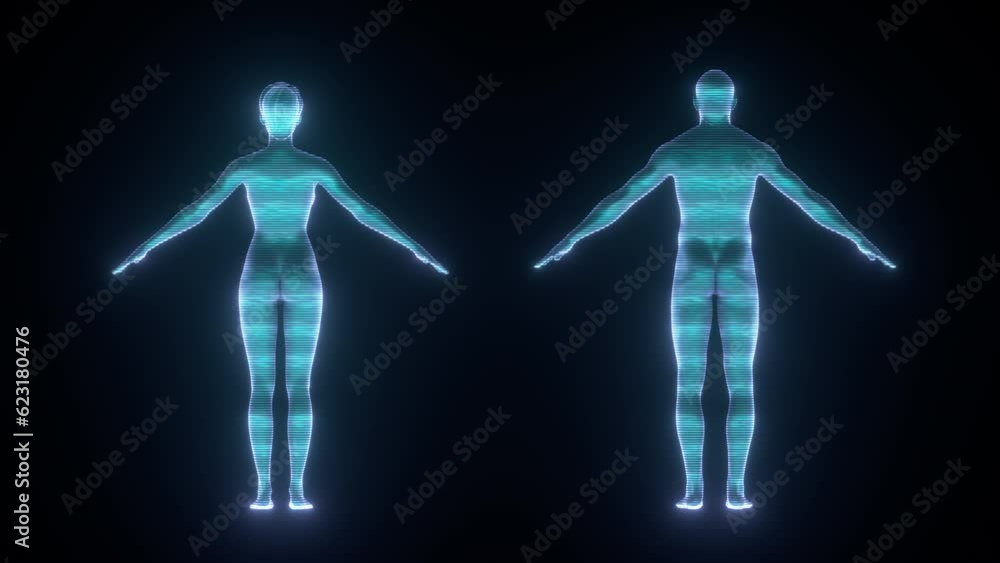Rotating holograms of male and female body, both bodies glow with blue light spinning in loopable animation, compositing element for futuristic medical videos.