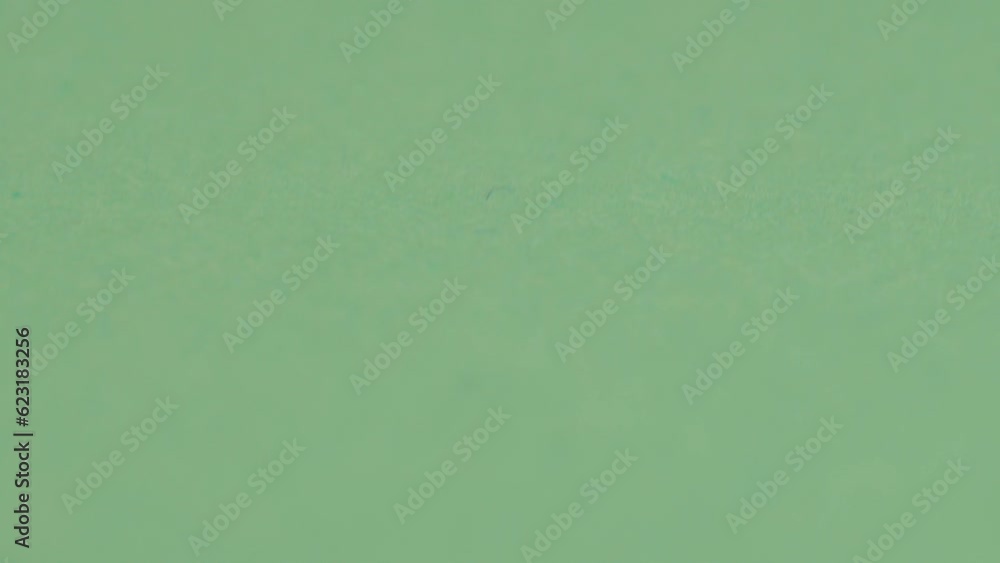 Camera movement on a paper green background close-up. Selective focus Camera movement on a paper green background close-up. Selective focus