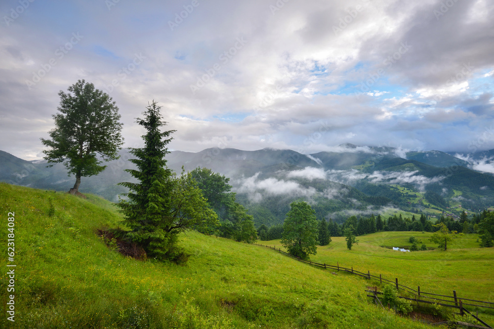 Splendid mountain valley is covered with fog after the rain with green alpine meadows. Foggy landscape. Location place Carpathian mountains, Ukraine, Europe. Splendid mountain valley is covered with fog after the rain with green alpine meadows. Foggy landscape. Location place Carpathian mountains, Ukraine, Europe.