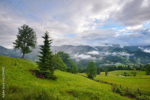 Splendid mountain valley is covered with fog after the rain with green alpine meadows. Foggy landscape. Location place Carpathian mountains, Ukraine, Europe.
