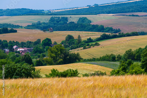 Landscape, fielsd, summer, landscape, summer, field, sun, grain, hay, straw, photo