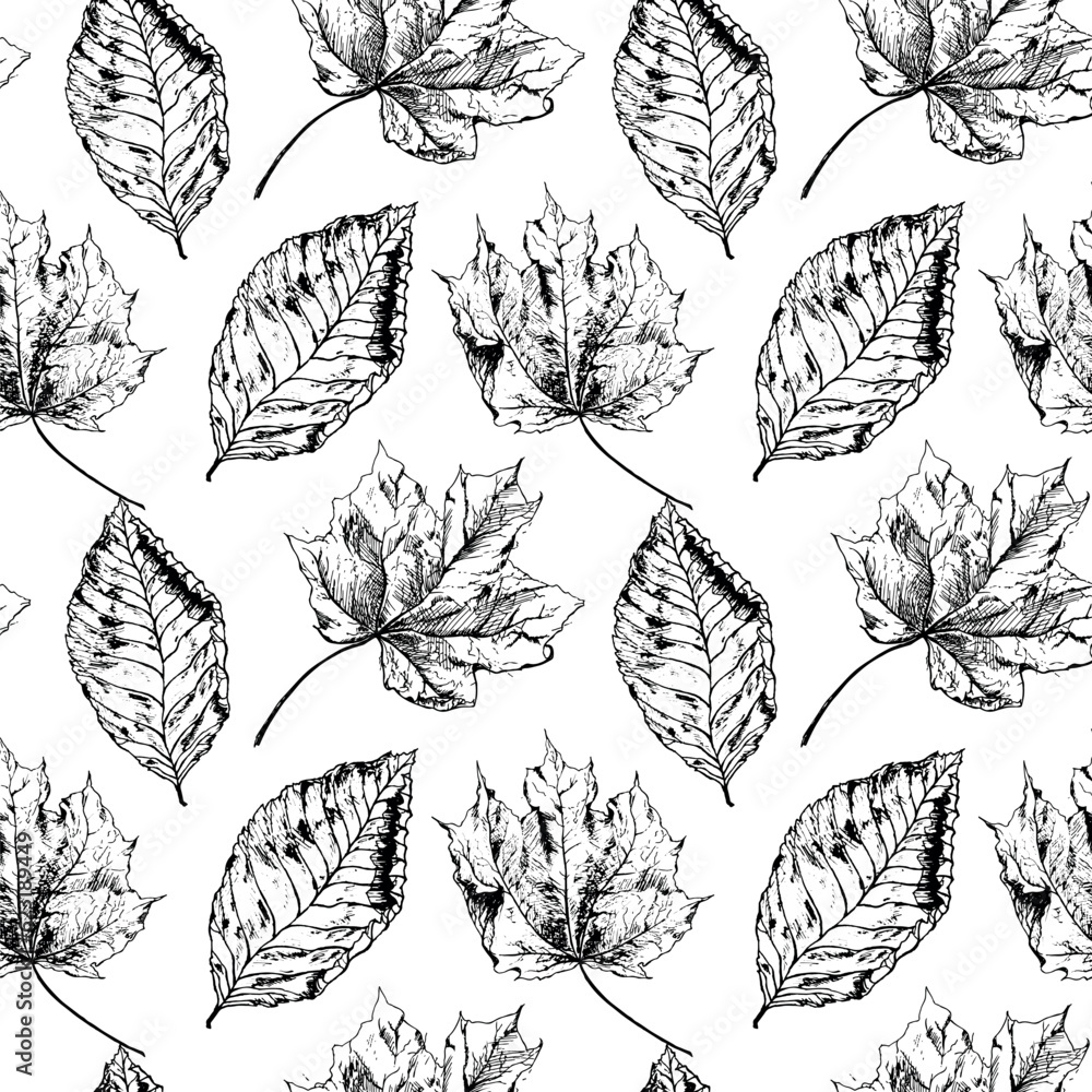 Seamless vector pattern with autumn leaves. Hand drawn detailed botanical background.