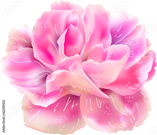 Pink photo-realistic flower isolated on white background. Vector illustration