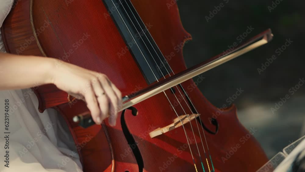 Woman musician playing the violin. Close-up of hands. The bow moves along the strings. The concept of playing musical instruments. Musical art. Woman musician playing the violin. Close-up of hands. The bow moves along the strings. The concept of playing musical instruments. Musical art.