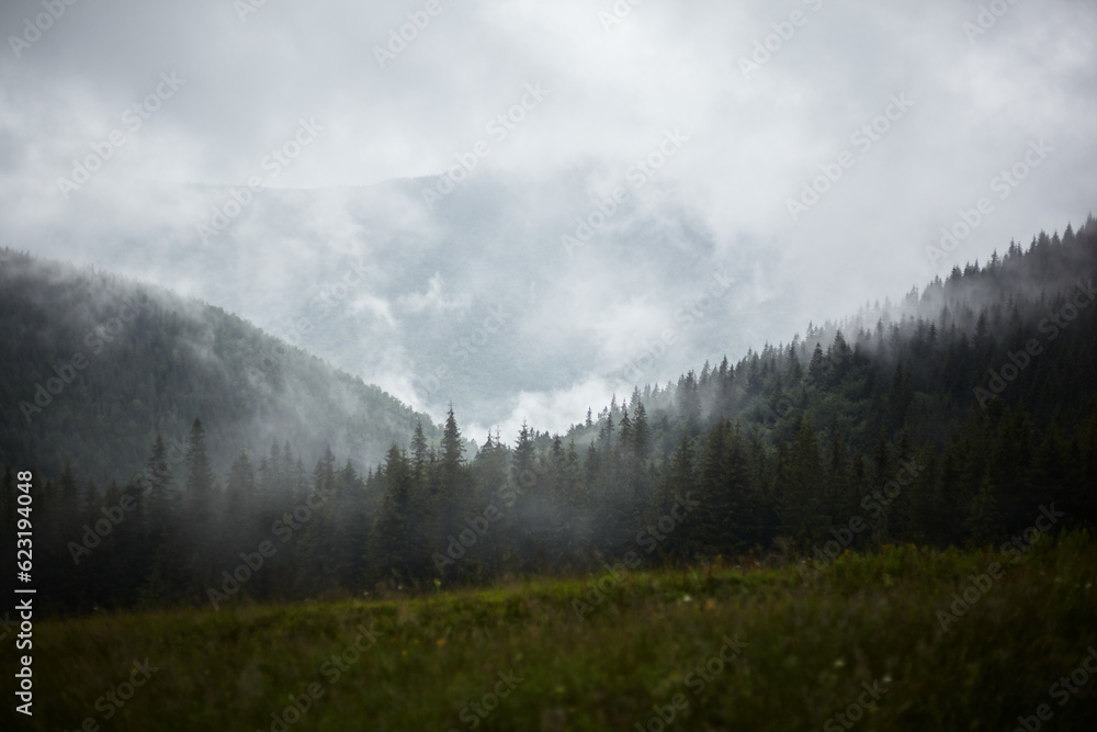 Fototapeta premium Carpathians, mountains in the fog, landscape of summer landscapes
