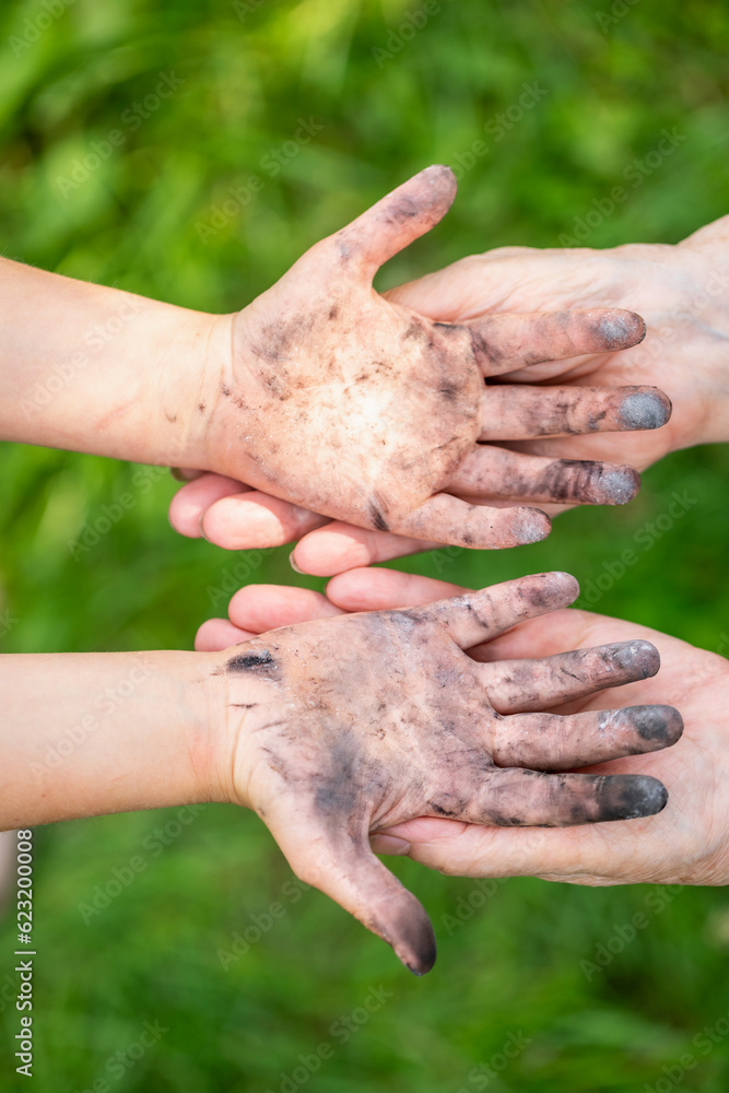 Fototapeta premium Little girl showing dirty hands to her granny