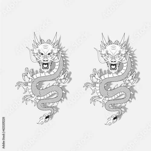 Asian white Dragon with black stroke white background. Chinese dragon. Two Dragon silhouettes