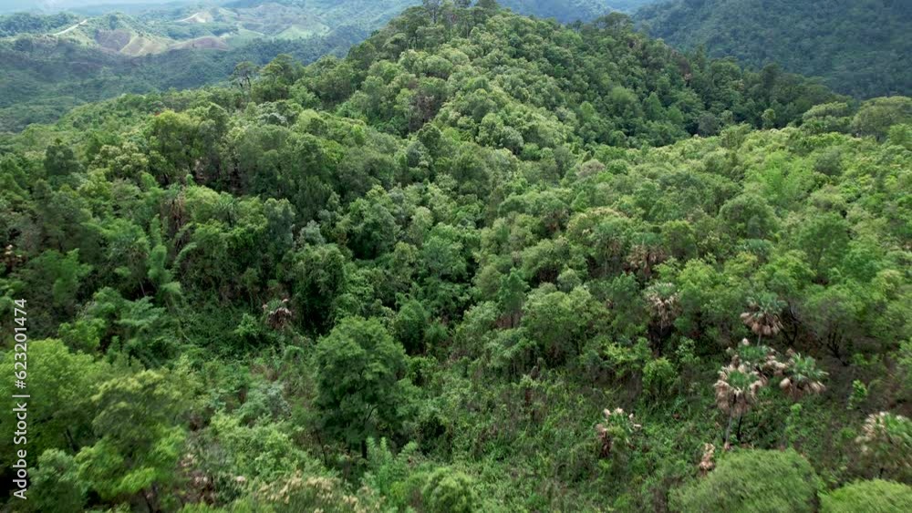 aerial view of beautiful tropical rainforest full of large trees and covered with clouds in the rainy season of Thailand aerial view of beautiful tropical rainforest full of large trees and covered with clouds in the rainy season of Thailand