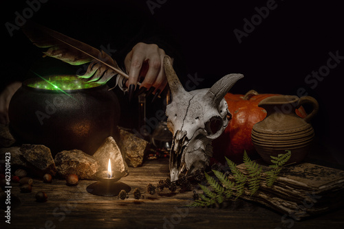 Witch is brewing a potion. Witches hand with sharp black nails holds a feather over a iron pot next to burning candle and goats skull, fern leaf in the dark, low key, selective focus.