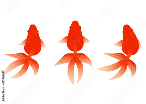 俯瞰で見た金魚のイラストのセット
