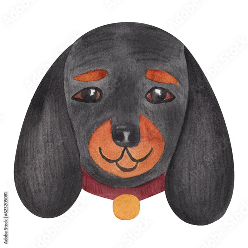 The face or head of a dachshund. Muzzle of funny animal isolated on white background. Watercolor illustration in cartoon style