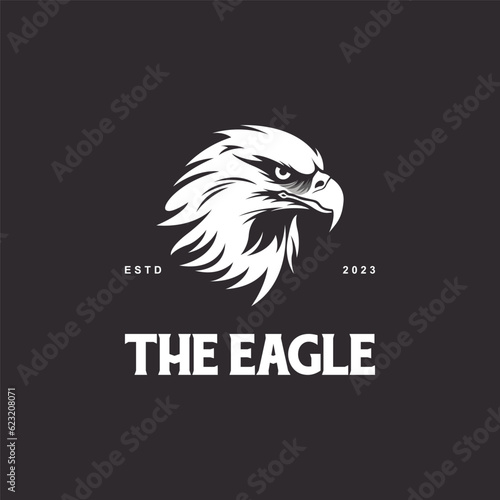 Eagle icon symbol, Hawk emblem logo vector illustration template