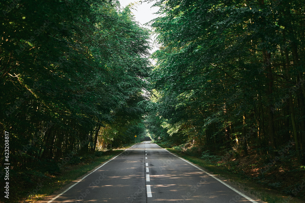 Obraz premium Landscape with empty asphalt road through woods in summer. Beautiful rural asphalt road scenery. Beautiful roadway. Trees with green foliage and sunny sky.
