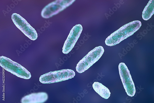 Klebsiella bacteria, a type of Gram-negative bacteria known for causing a range of infections, 3D illustration photo