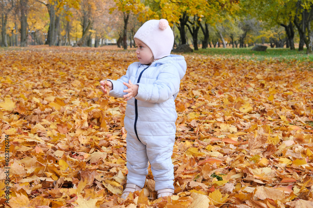 Beautiful little girl in blue overalls in autumn park