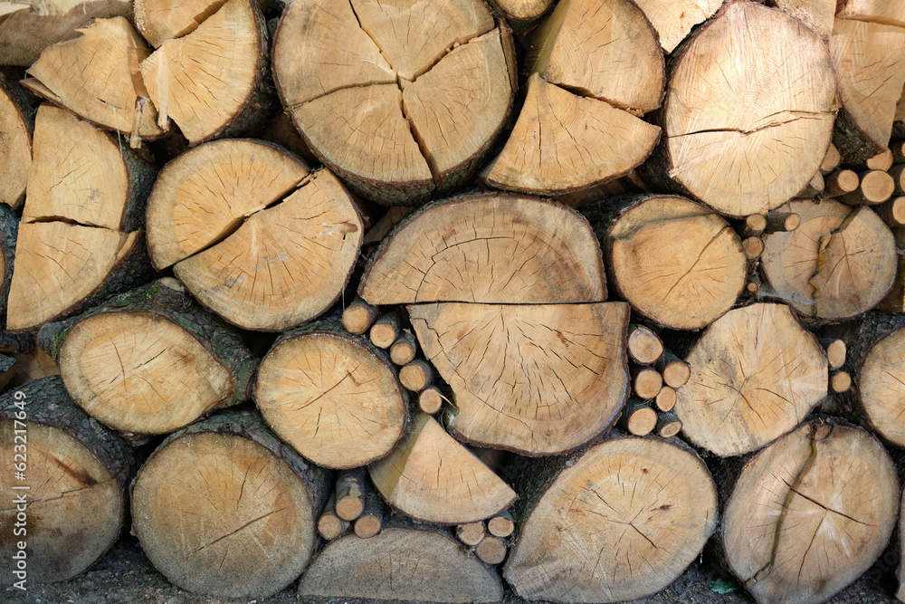 Stacked large and small, chopped and round firewood in a pile. Close-up of a woodpile of fire logs wood prepared for a cold winter. Natural solid fuel. Czech Republic. Europe. Stacked large and small, chopped and round firewood in a pile. Close-up of a woodpile of fire logs wood prepared for a cold winter. Natural solid fuel. Czech Republic. Europe.