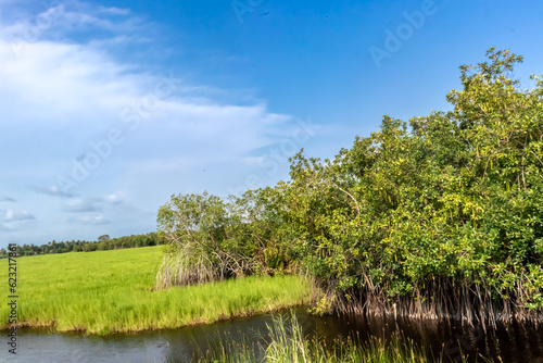 A serene image capturing the tranquility of a peaceful field dotted with wildflowers, a small lake shimmering under the blue sky, providing a captivating rural view.