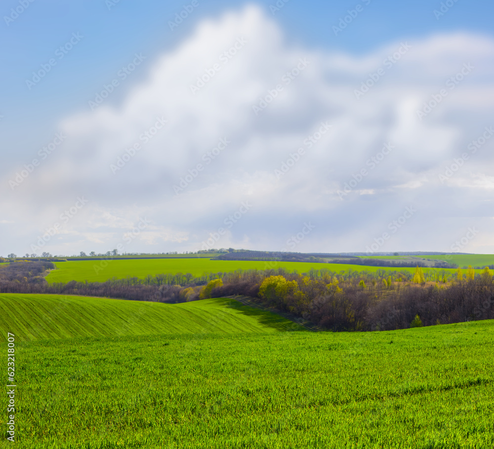 green rural fields unde blue cloudy sky