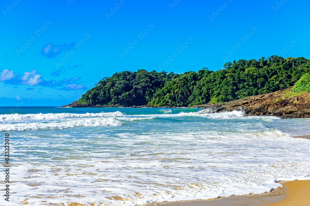 Tiririca beach with its waves and rainforest in the city of Itacare on the coast of Bahia Tiririca beach with its waves and rainforest in the city of Itacare on the coast of Bahia