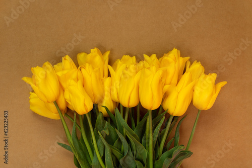 Beautiful fresh yellow tulips on brown background. Yellow flowers. Copy space. Space for text.