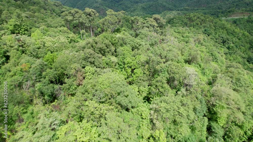 aerial view of beautiful tropical rainforest full of large trees and covered with clouds in the rainy season of Thailand aerial view of beautiful tropical rainforest full of large trees and covered with clouds in the rainy season of Thailand