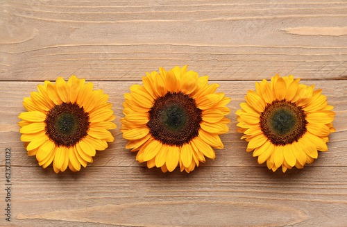 Beautiful sunflowers on wooden background