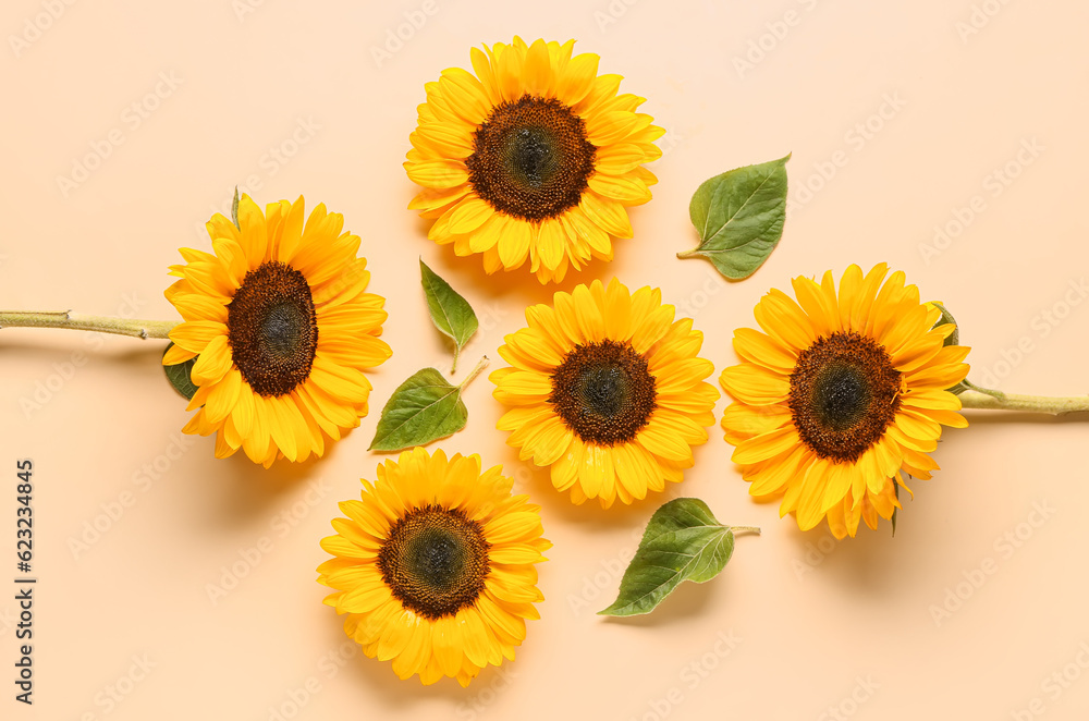 Beautiful sunflowers and leaves on orange background