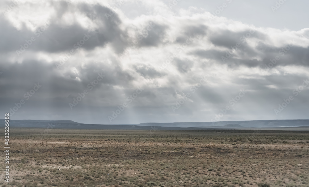 Expanses of the Kazakh steppe in spring with low vegetation and hills on the horizon, sunbeams over the desert Expanses of the Kazakh steppe in spring with low vegetation and hills on the horizon, sunbeams over the desert