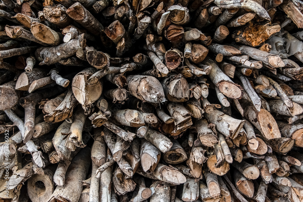 Stacked wooden logs. Maragogipinho