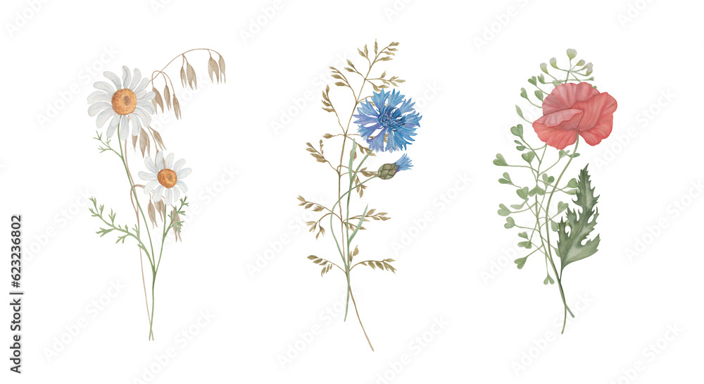 Set of watercolour flowers, floral illustrations of bouquets with wild flowers and wild herbs