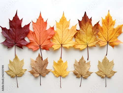 Die Pracht der Jahreszeiten: Ein Hintergrund mit bunten Herbstblättern