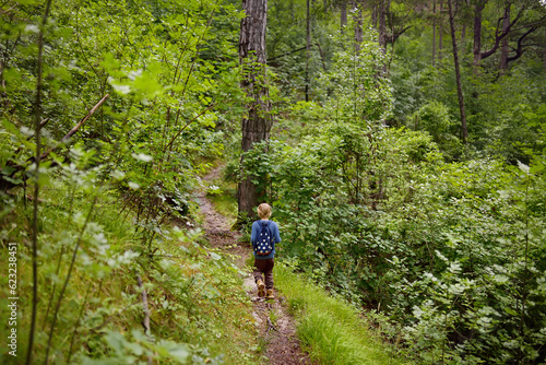 School child is hiking and exploring nature in forest. Preteen boy travel in woodland. Summer vacation activity for inquisitive kids in parkland. Adventure  scouting  tourism for kids