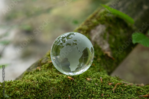 glass earth globe in forest