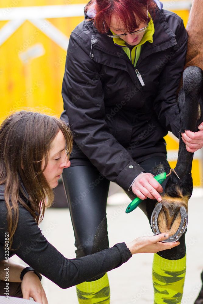 Horse hoof care clean and brush closeup. Mid Hispanic woman blacksmith horseshoe holding in stable