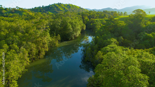 AERIAL: Slow flowing jungle river among lush green trees in tropical Panama © helivideo