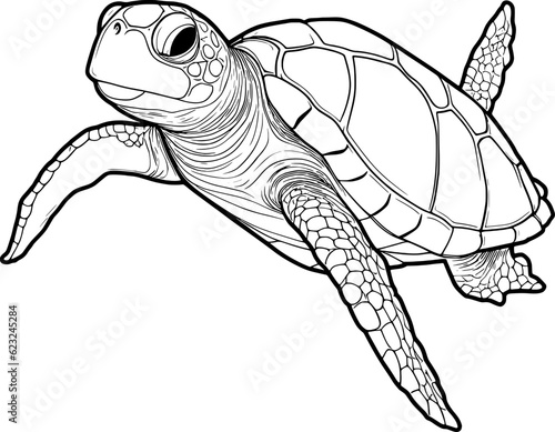 Turtle Line Art