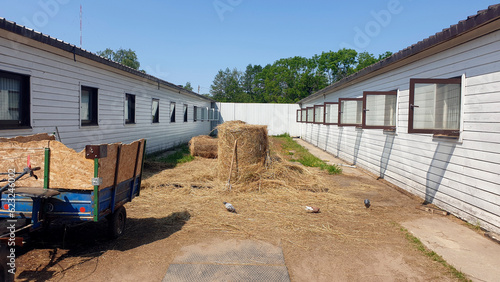 a haystack between two stables on a summer day