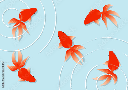 俯瞰で見た泳ぐ金魚のイラスト1
