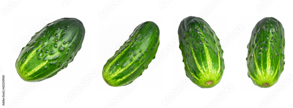 Cucumber in various angles isolated on white background. Vegetables. Cucumber in various angles isolated on white background. Vegetables.