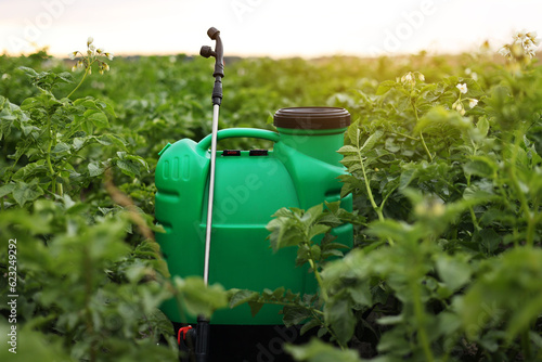 Plastic green backpack container sprayer with liquid of pesticide, herbicide for protecting plants from diseases and pests stands in vegetable garden with potato blooming. Agricultural seasonal work photo