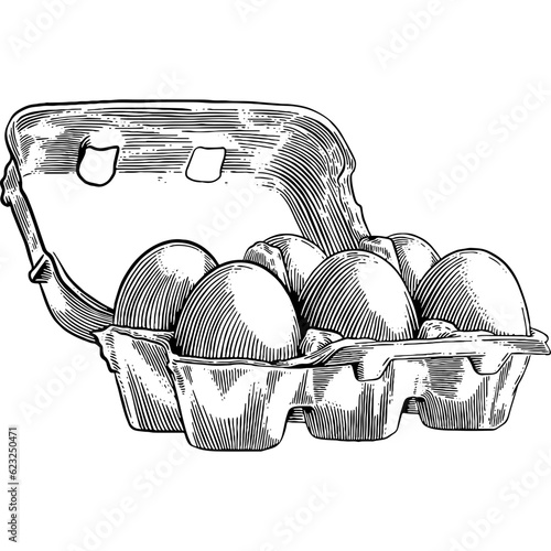 Hand drawn Eggs in a Carton Box Sketch Illustration photo